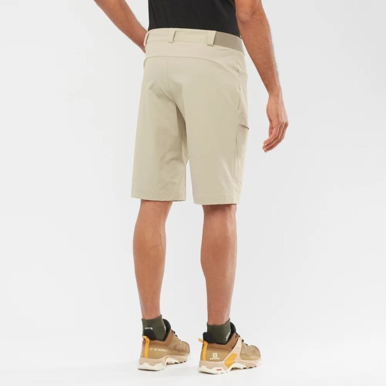 Khaki Salomon Wayfarer Men's Shorts | PH 12796W